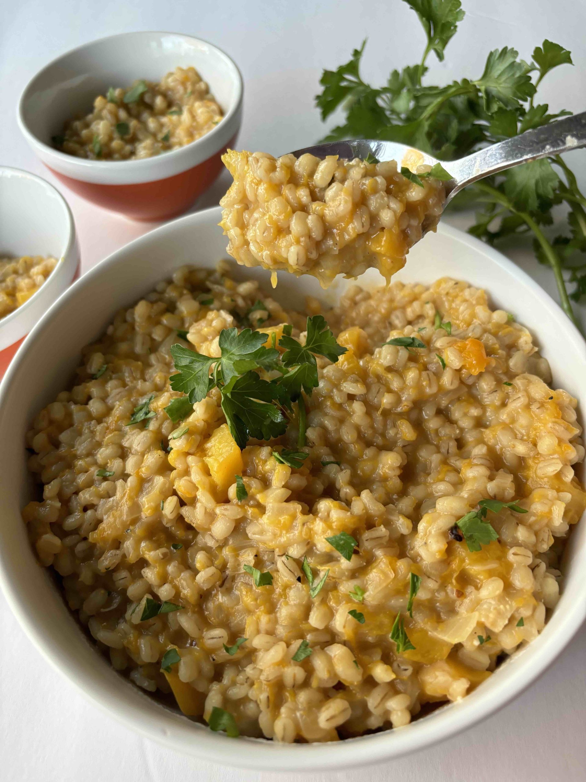 Barley & Butternut Squash Risotto – Nutrition Solutions